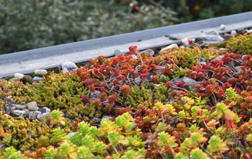 the cost of Eltringham green roof installation