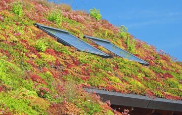 Eltringham living roof systems